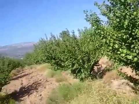 29 ekim cumhuriyet bayramı tatili kaç gün